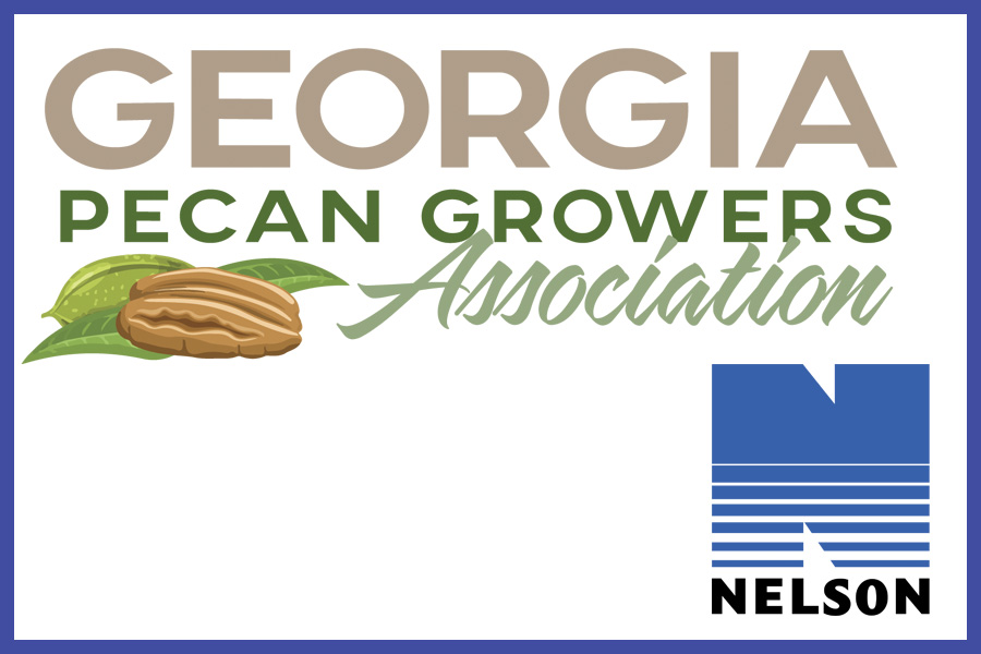 Georgia Pecan